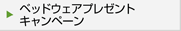 �x�b�h�E�F�A�v���[���g�L�����y�[��