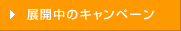 展開中のキャンペーン
