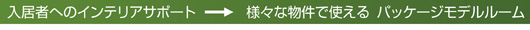 �����҂ւ̃C���e���A�T�|�[�g