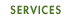 �C���e���ASERVICES