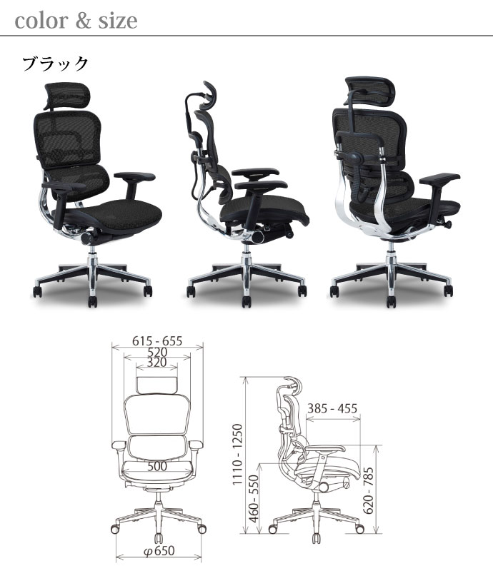 カラー＆サイズ