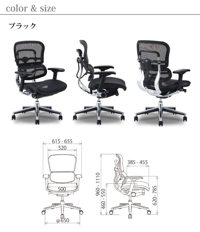 カラー＆サイズ