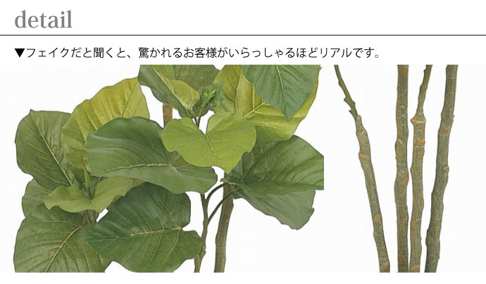 お手入れ不要!,フェイクグリーンセット,ウンベラータ,ディテイル