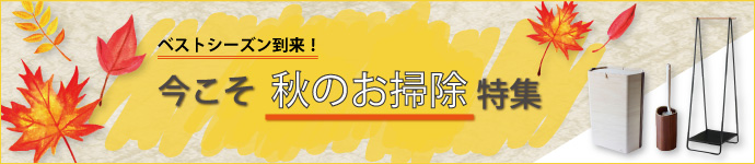 今こそ秋のお掃除特集