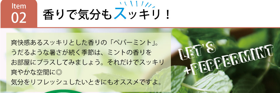 来る夏にそなえたオススメのアイテム