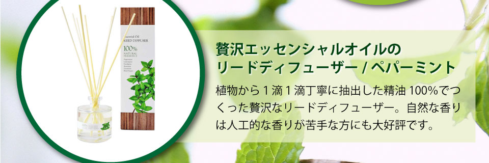 来る夏にそなえたオススメのアイテム