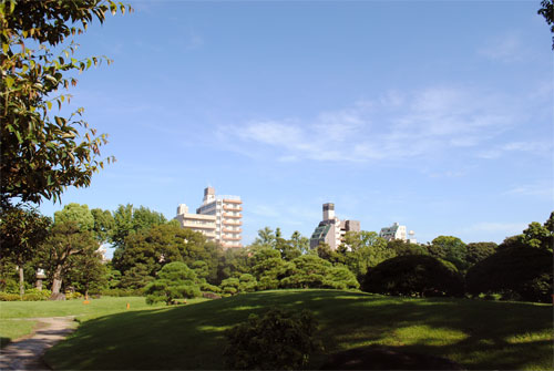 紅葉の時期にも行ってみたい