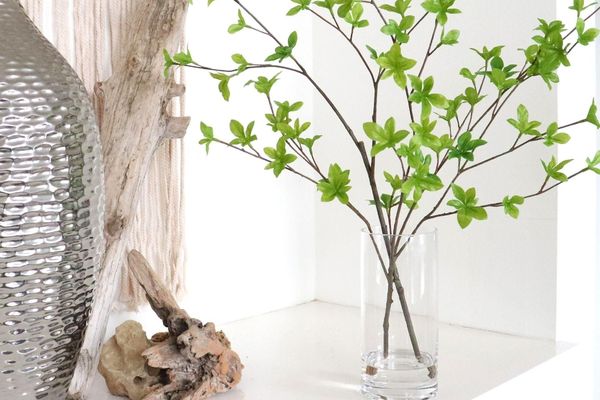 お手入れ不要！ドウダンツツジ Water H60cm