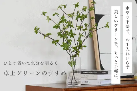 卓上グリーンでお部屋に春の気配を